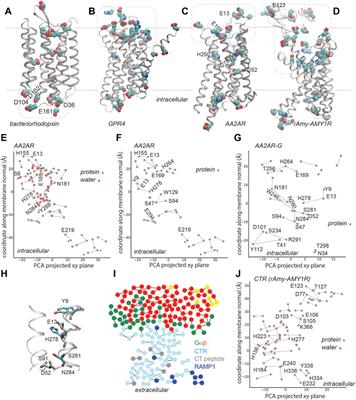 Hydrogen-bond networks for proton couplings in G-Protein coupled receptors